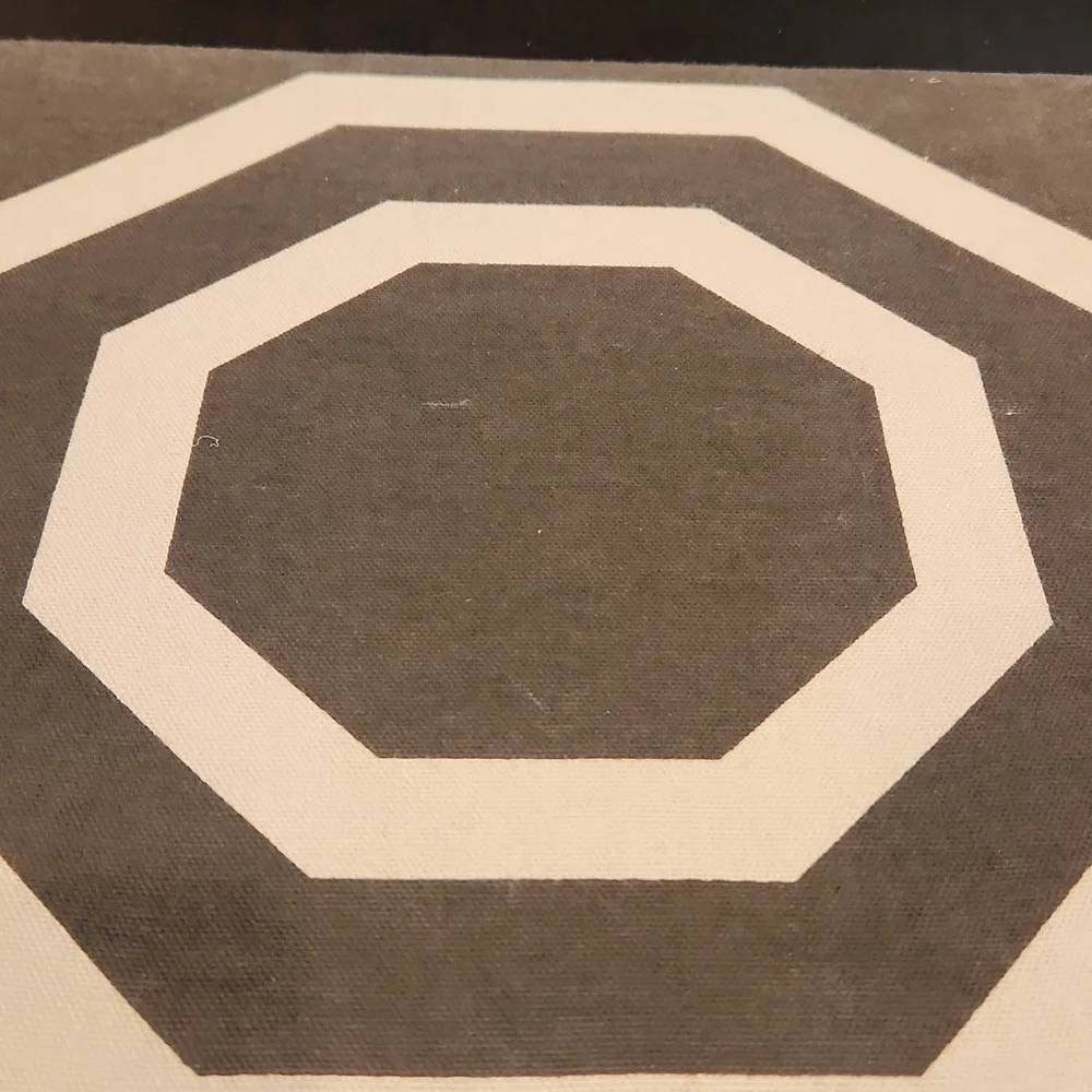 West Elm Double Octagon Decorative 12x12 Wall Art